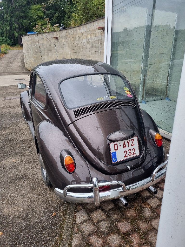COX 1973, foto 2