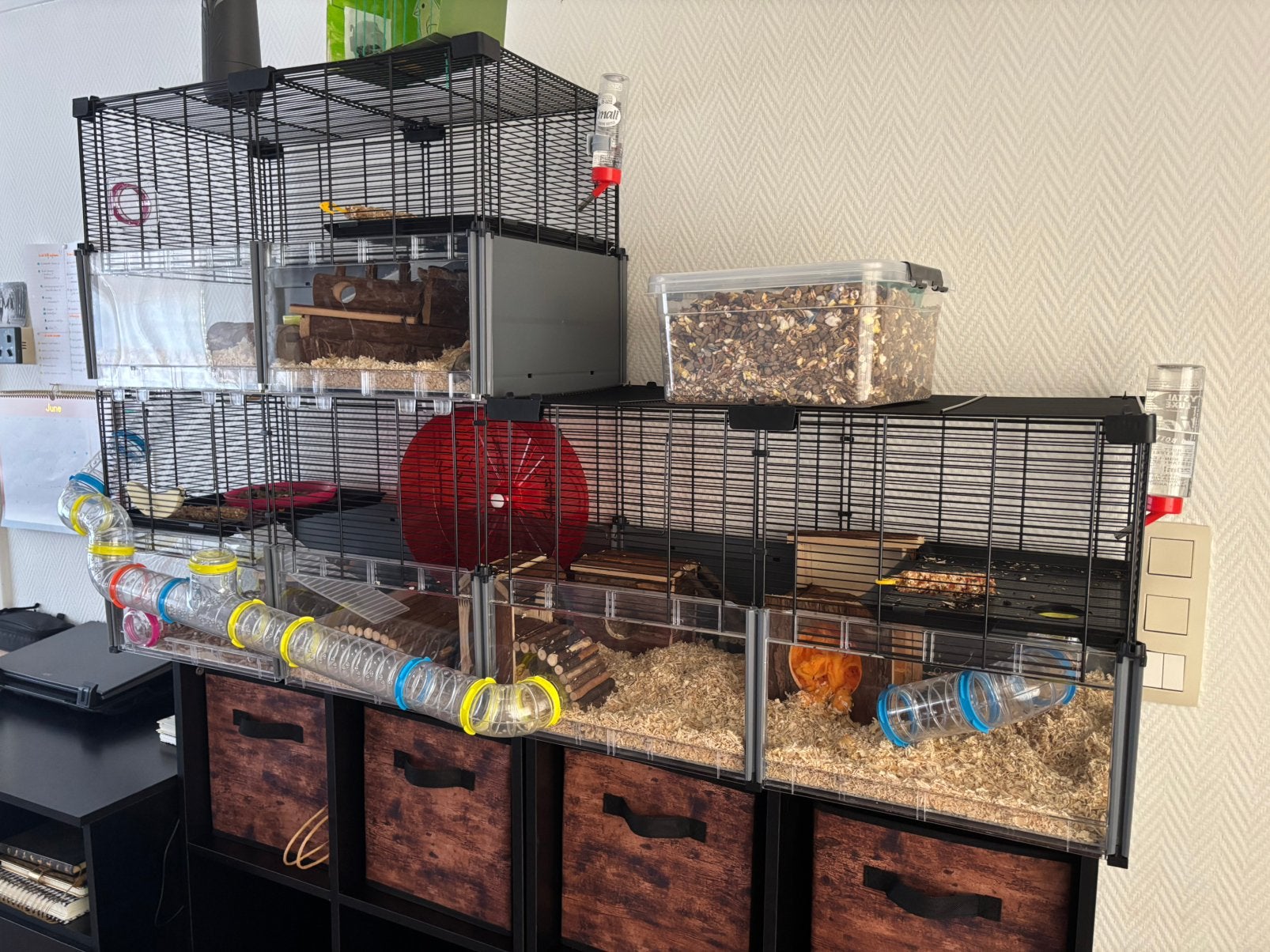 Hamsterkooi + toebehoren, Dieren en Toebehoren, Knaagdieren en Konijnen | Hokken en Kooien, Zo goed als nieuw, Kooi, Ophalen