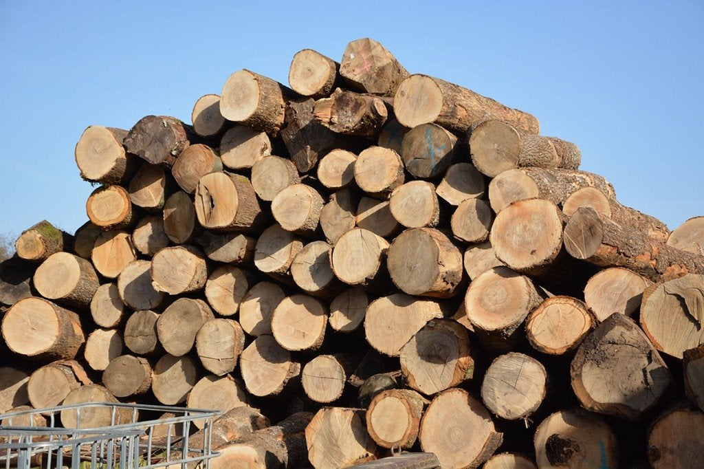 Ventes des bois de chauffage Palette/Vrac de qualité dur, Ophalen of Verzenden, Nieuw, Hout, Overige typen