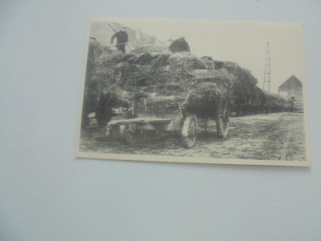 vlasteelt- lossen van het vlas, Verzamelen, Postkaarten | België, Verzenden, 1920 tot 1940, Ongelopen, West-Vlaanderen
