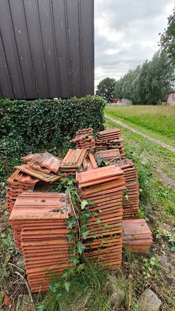 TTR dakpannen, Doe-het-zelf en Bouw, Ophalen, Steen of Klei, Dakpannen, Rood