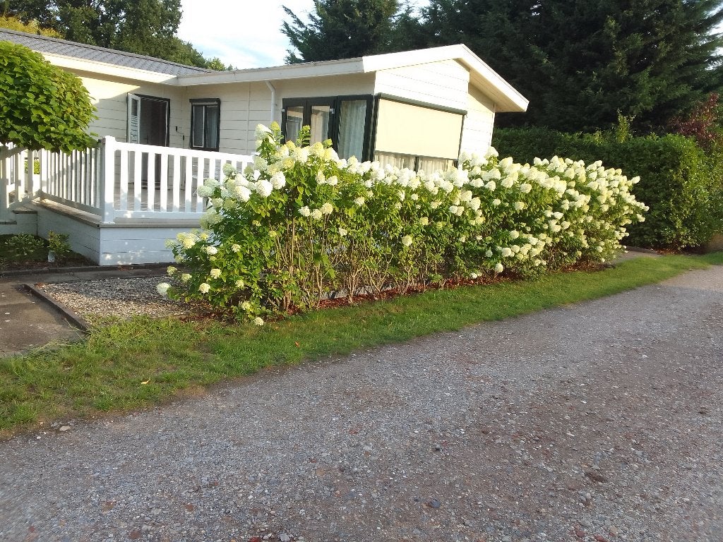 À vendre, Hoekchalet, Hoeven (NB), Immo, Étranger, Parc de loisirs, Pays-Bas, Ventes sans courtier, 50 m²
