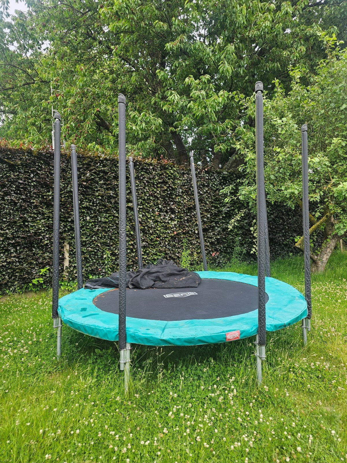 Trampoline BERG, Enlèvement
