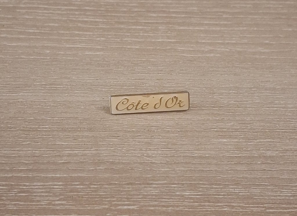 PIN - CÔTE D'OR - CHOCOLADE - CHOCOLAT, Verzenden, Gebruikt, Merk, Speldje of Pin