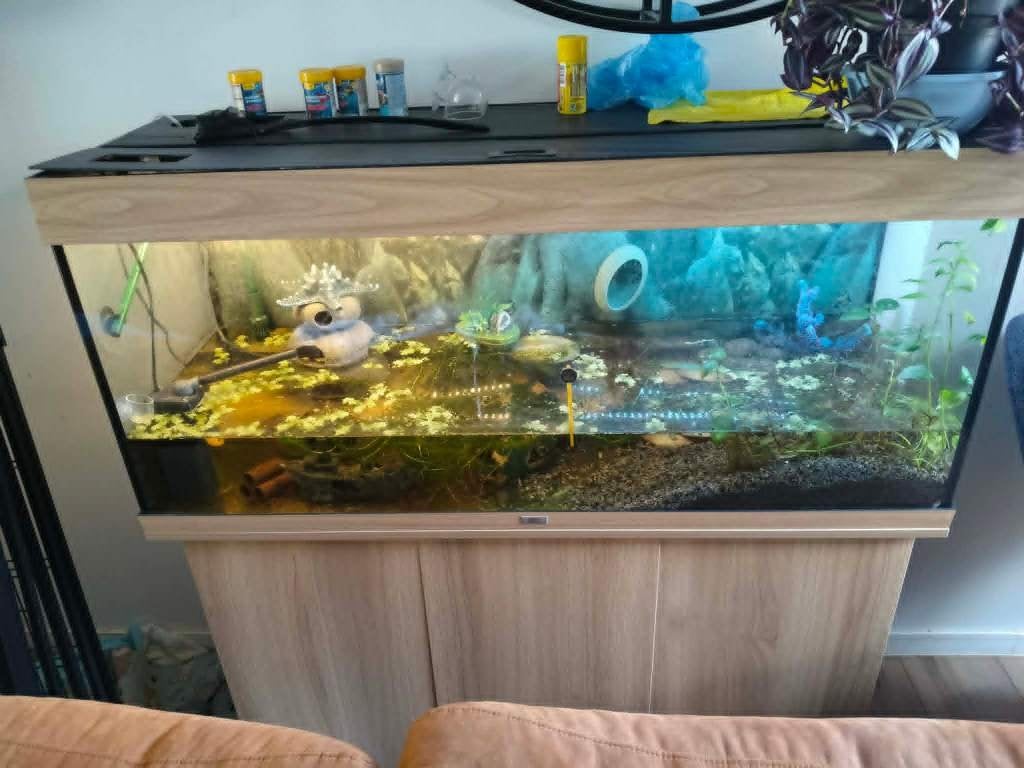 Aquarium jewel Met nieuwe verlichting en pomp, Dieren en Toebehoren, Vissen | Aquaria en Toebehoren, Ophalen, Gebruikt, Pomp, Aquariummeubel