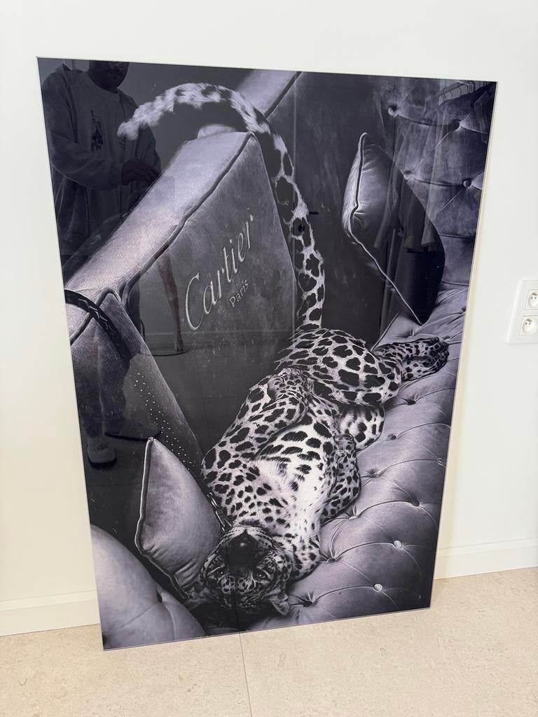 Cartier Schilderij pvc, Huis en Inrichting, Woonaccessoires | Schilderijen, Tekeningen en Foto's, Ophalen, Zo goed als nieuw, Schilderij