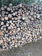 Bois Chaufage, 6 m³ ou plus, Enlèvement, Autres essences de bois, Bûches