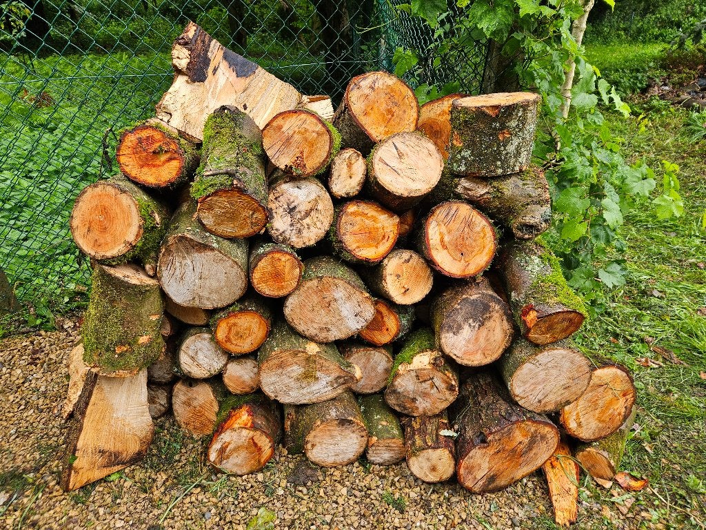 bois de chauffage, Tuin en Terras, Brandhout, Blokken, Beukenhout, Minder dan 3 m³, Ophalen
