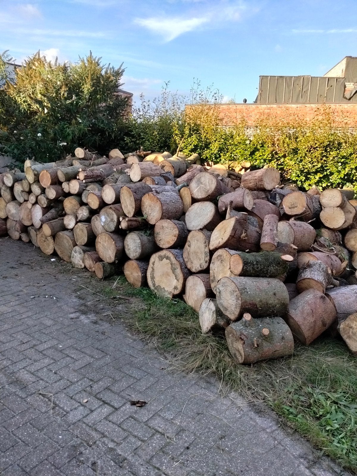 brandhout te koop, Enlèvement ou Envoi