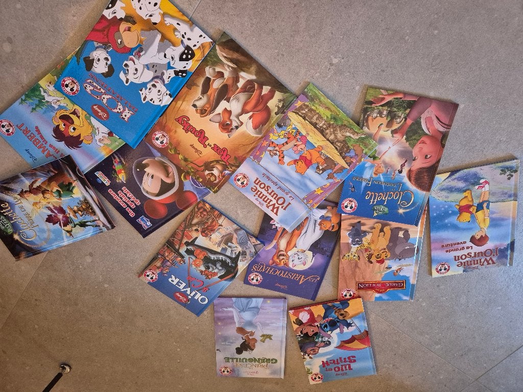 95 Livres disney, Livres, Garçon ou Fille, Comme neuf, Enlèvement, Contes (de fées)