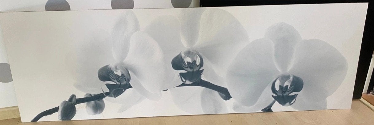 Schilderij orchidee Eyecatcher, Antiek en Kunst, Ophalen, Abstract, Bloemen