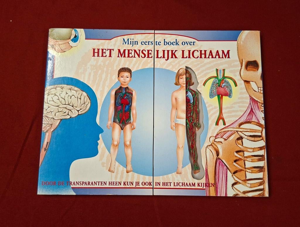 Boek : het menselijk lichaam, Boeken, Ophalen of Verzenden