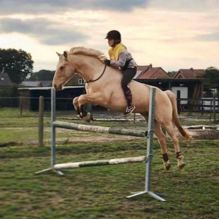 Ruiter aangeboden (pony’s & paarden), Débourré