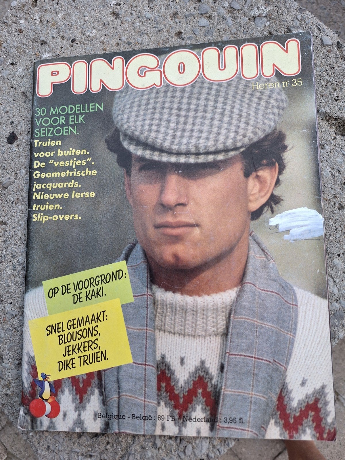 Breiboek Pingouin voor mannen, Hobby & Loisirs créatifs, Tricot & Crochet, Enlèvement ou Envoi, Comme neuf, Tricot ou Crochet