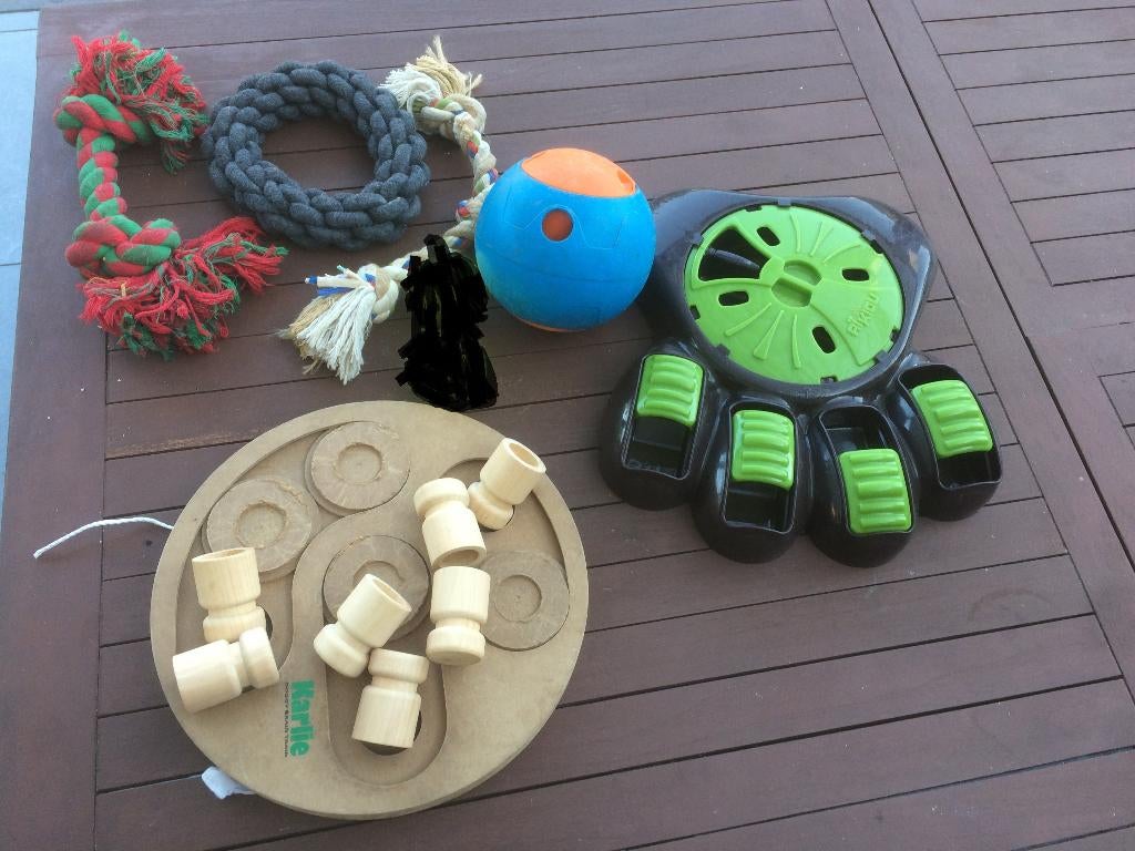 Jouets pour chiens, balles et jeux de recherche éducatifs, Animaux & Accessoires, Enlèvement, Utilisé, Jouets intelligents
