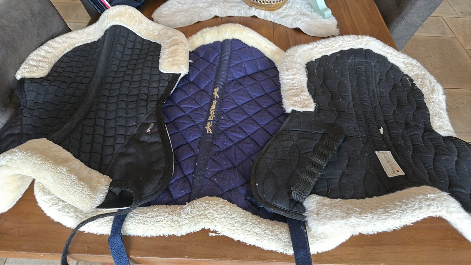 Schokdempers wolletjes 3 stuks maat full, Animaux & Accessoires, Chevaux & Poneys | Couvertures & Couvre-reins, Full (L), Laine