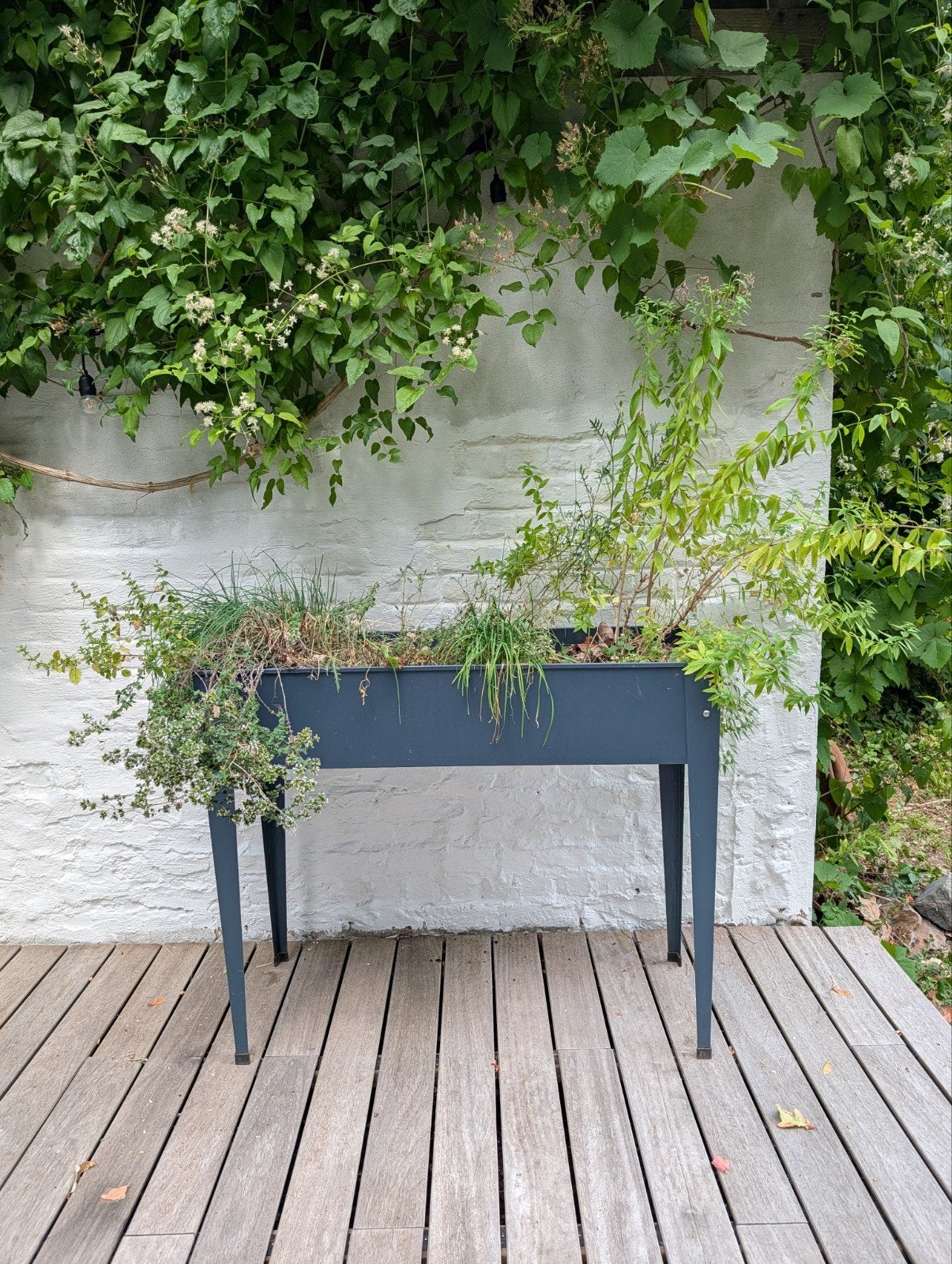 boîte pour potager/jardin d'herbes aromatiques sur pieds, Enlèvement