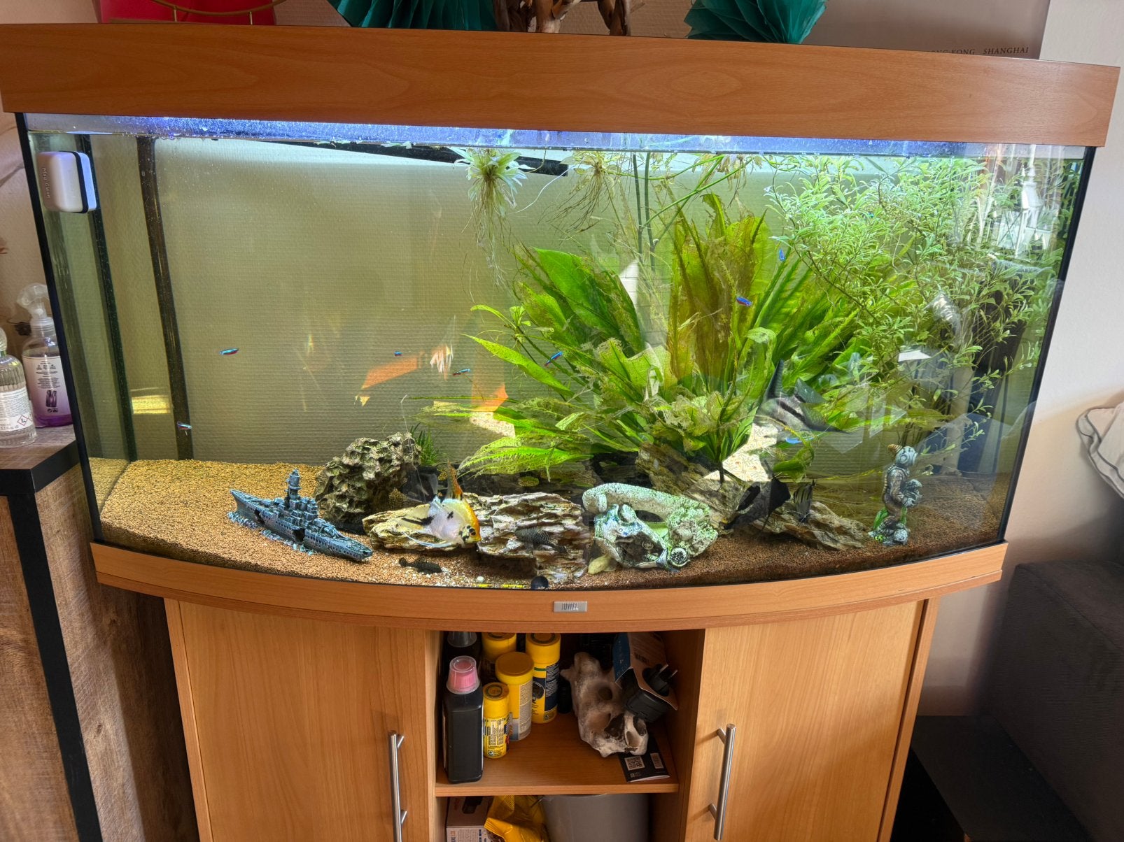 Aquarium, Enlèvement, Pompe, Comme neuf, Eheim