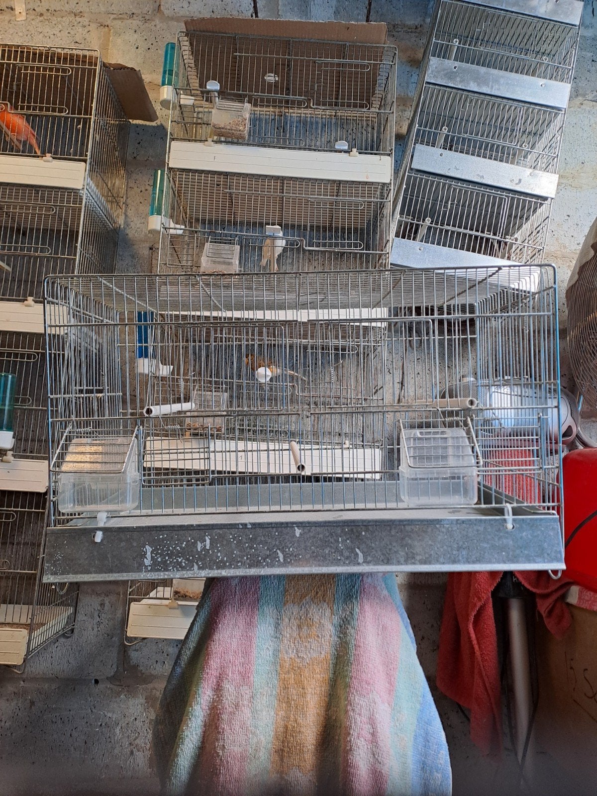 Cage d'élevage, Animaux & Accessoires, Enlèvement, Cage d'élevage