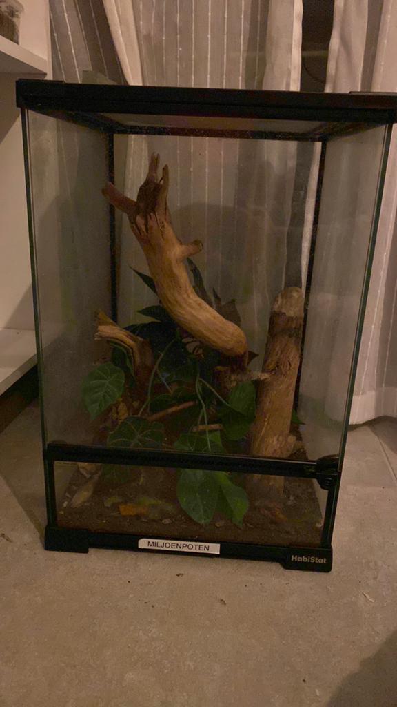 Habistat terrarium, Dieren en Toebehoren, Reptielen en Amfibieën | Toebehoren, Ophalen, Gebruikt, Terrarium of Paludarium