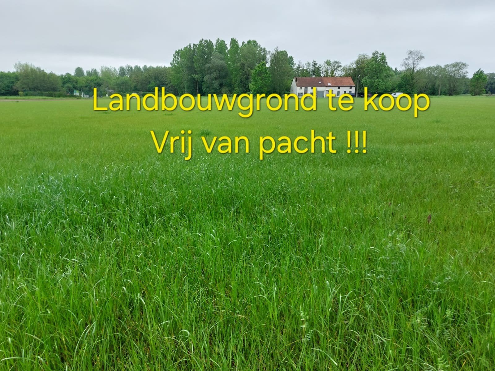 Landbouwgrond te koop in Leuven/ Holsbeek., Immo, Gronden en Bouwgronden