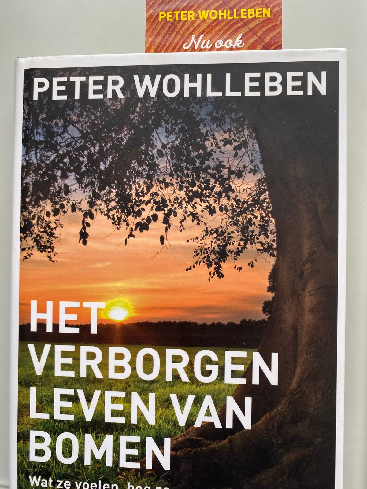 Het verborgen leven van bomen, Livres, Enlèvement ou Envoi, Comme neuf, Fleurs, Plantes et Arbres