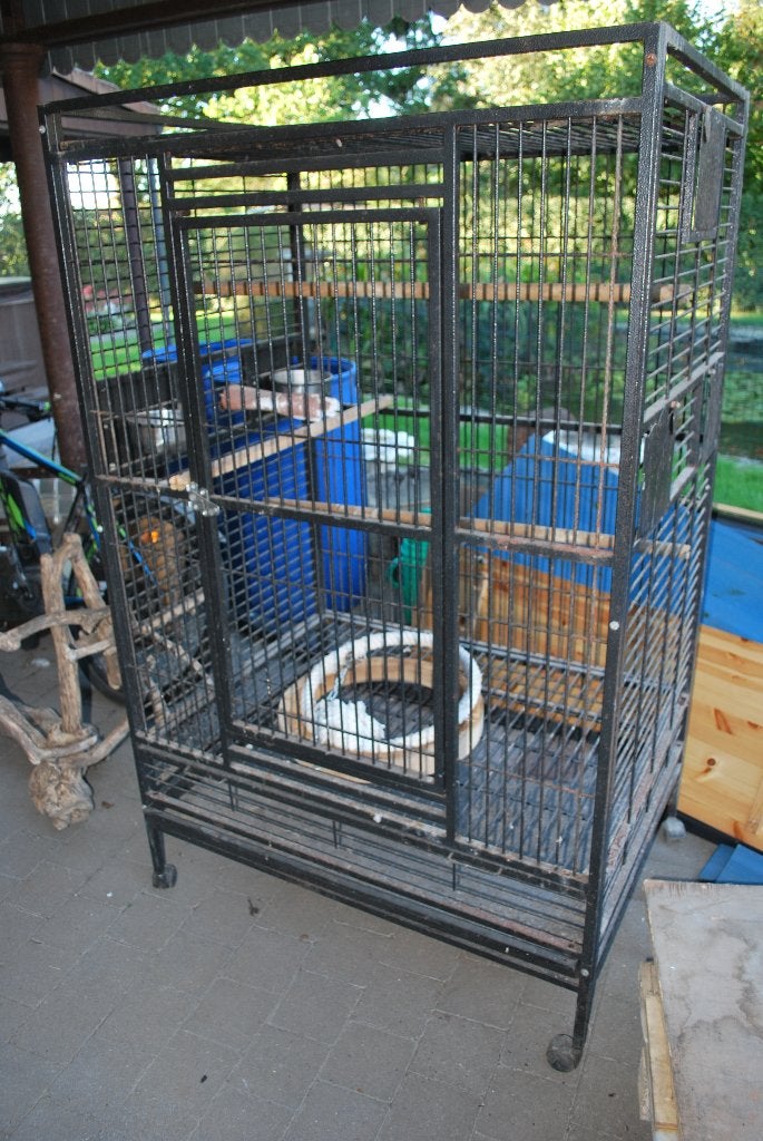vogelkooi voor papegaai, Dieren en Toebehoren, Papegaai