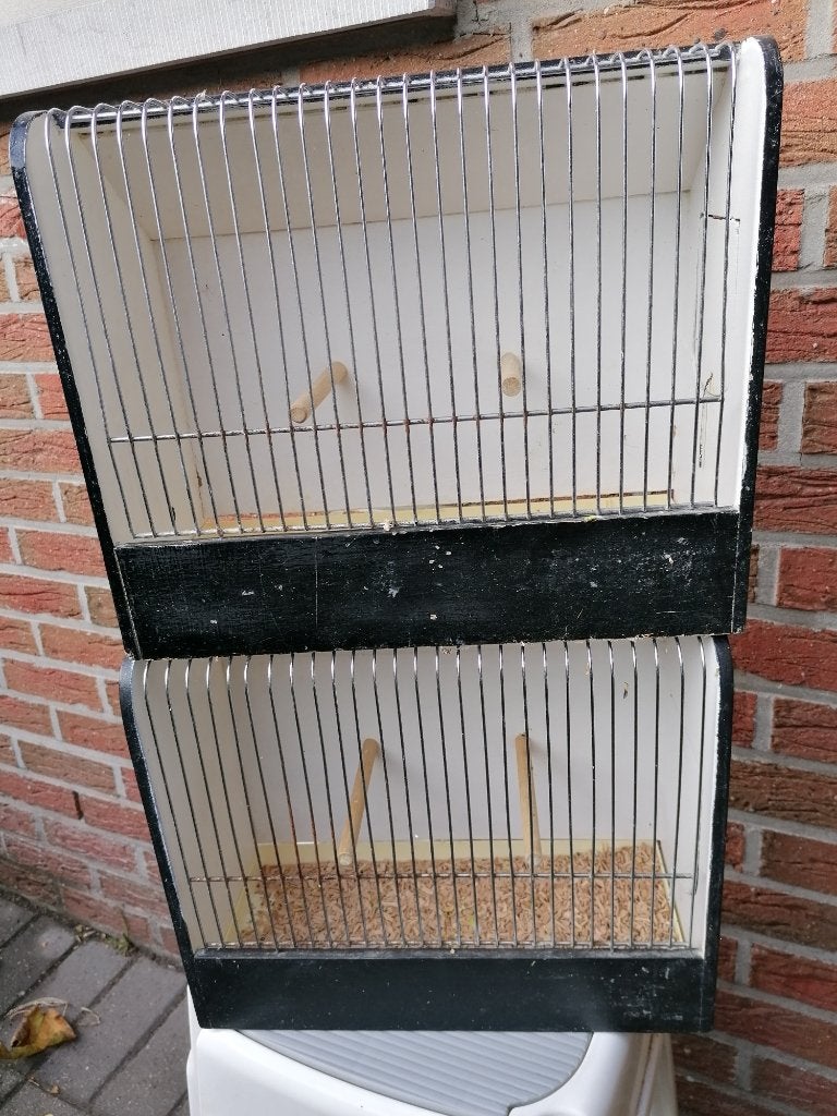 tentoonstellings kooien, Ophalen, Gebruikt, Hout, Vogelkooi