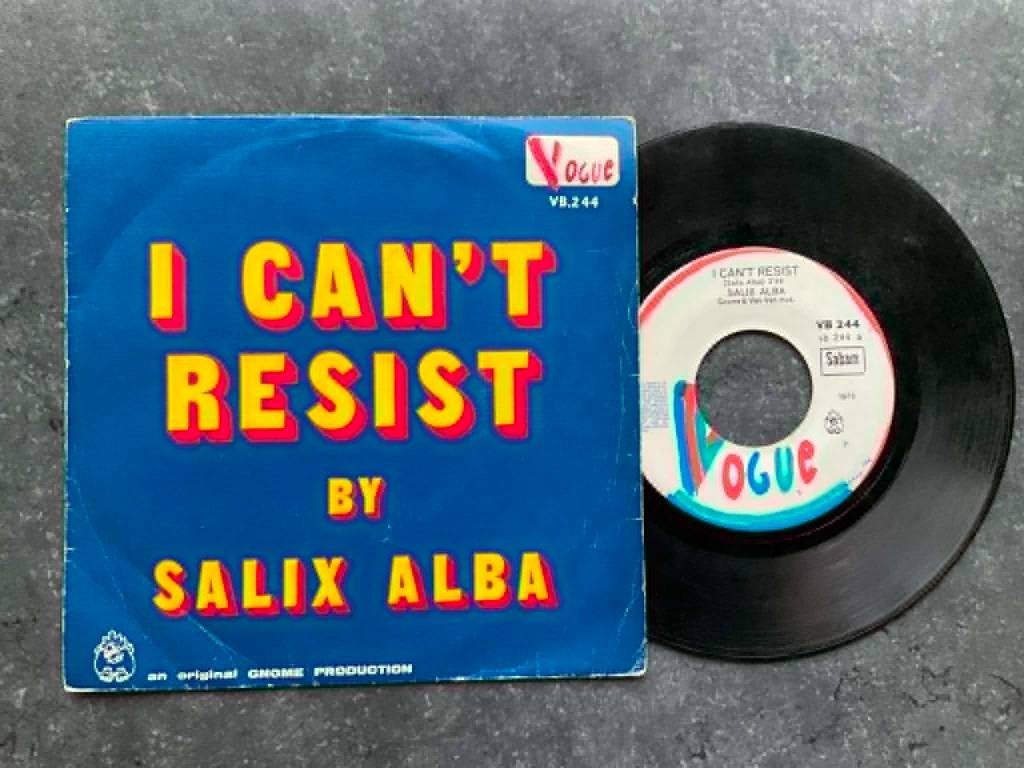 Salix Alba "I Can't Resist", Fotohoes, Ophalen of Verzenden, Zo goed als nieuw, Pop