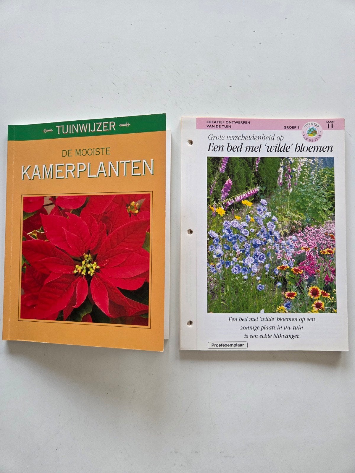De Mooiste Kamerplanten + tuinfiches, Ophalen of Verzenden, Zo goed als nieuw, Kamerplanten