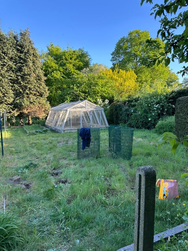 Glazen serre, Tuin en Terras, Gebruikt, Kweekkas, Ophalen of Verzenden, Glas
