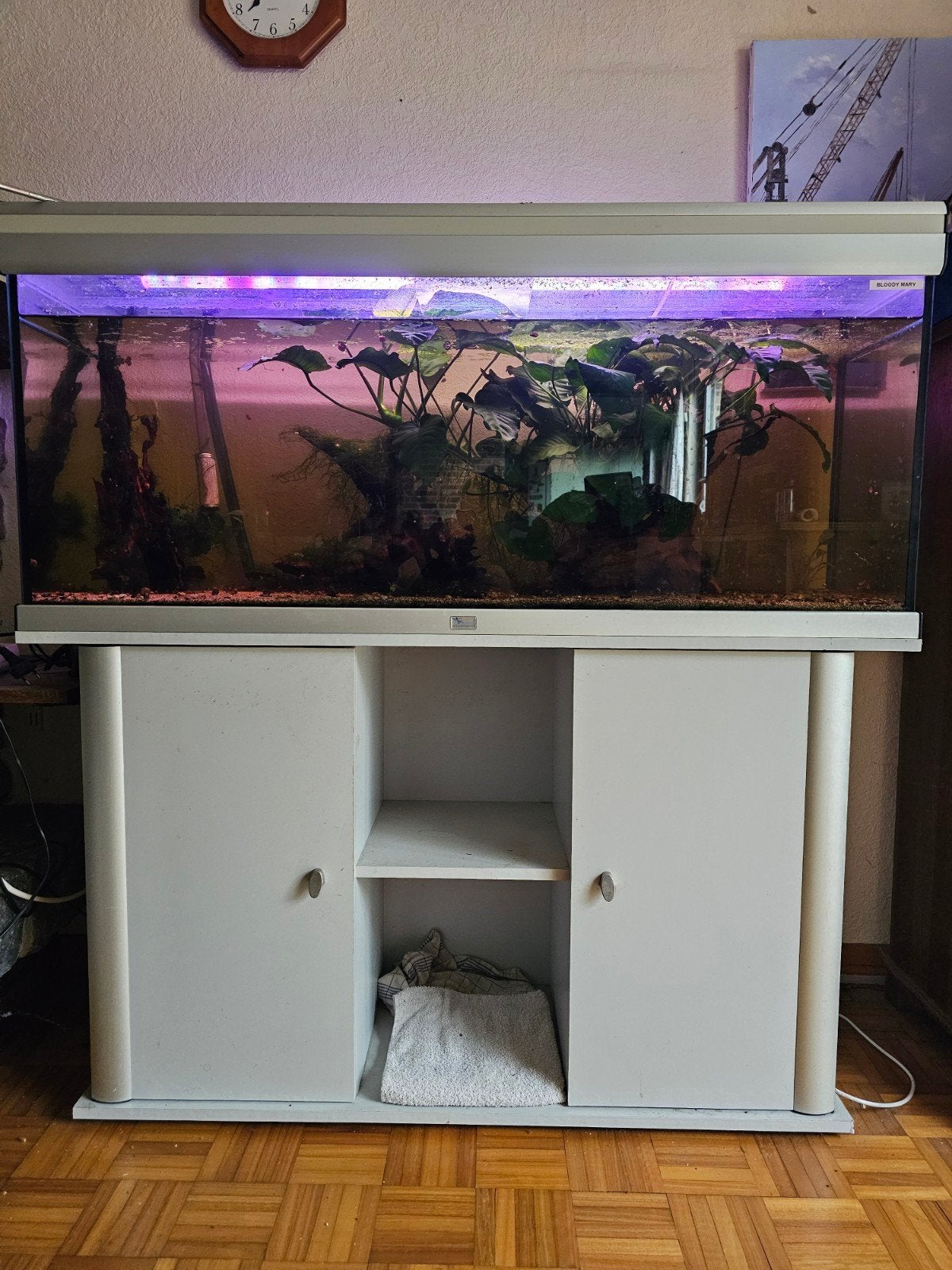compleet aquarium met 2 filters, Dieren en Toebehoren, Vissen | Aquaria en Toebehoren, Ophalen, Oase