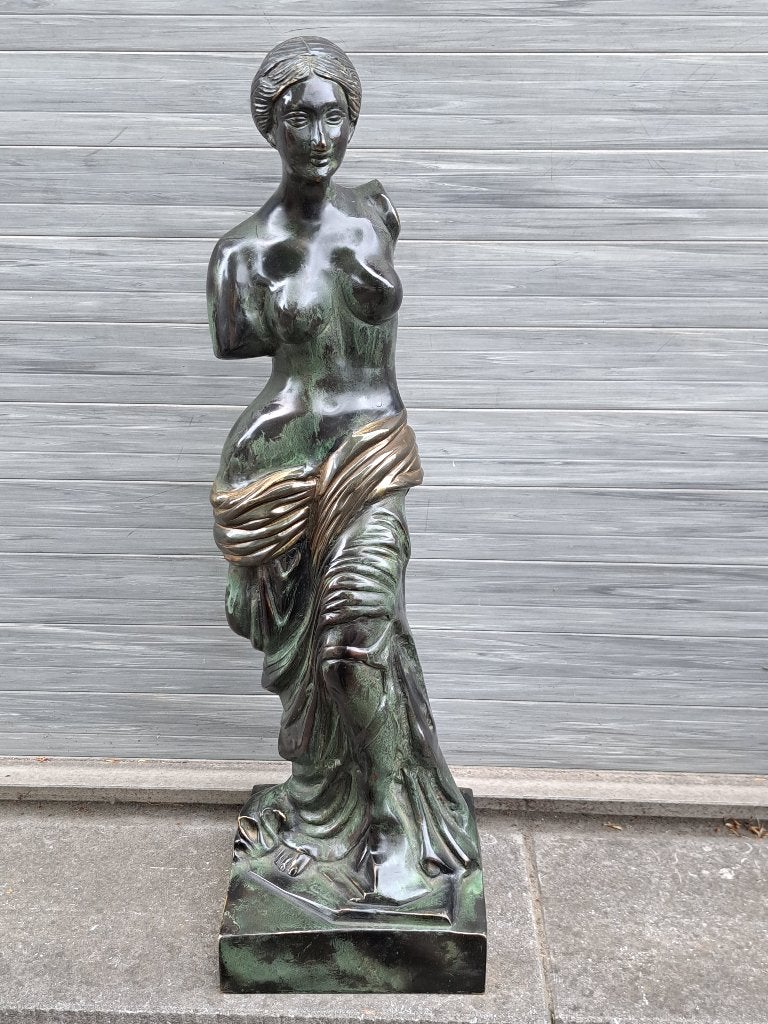bronze venus, Ophalen of Verzenden, Brons