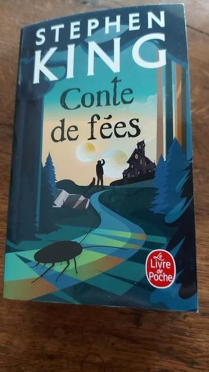 Livre stephen king (1044 pages), Enlèvement