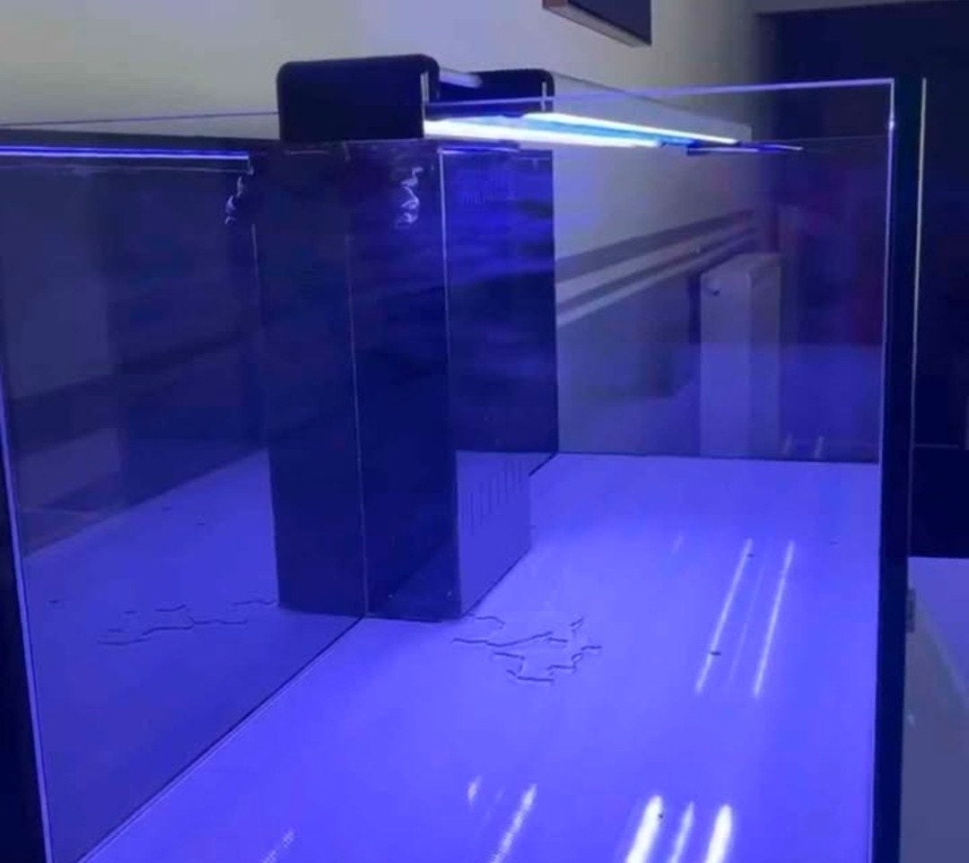 Led aquatlantis easy led, Animaux & Accessoires, Poissons | Aquariums & Accessoires, Aquatlantis, Enlèvement