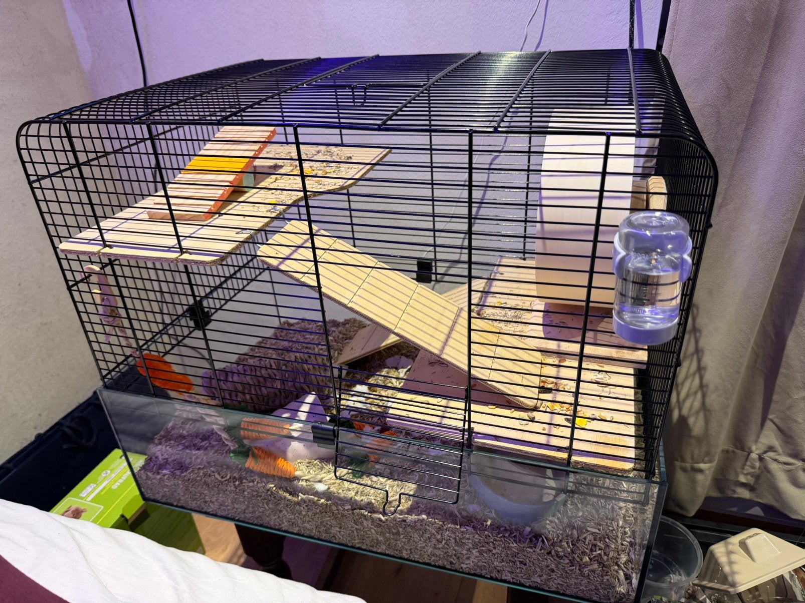 Hamsterkooi met looprad, huisje en drinkbusje, Neuf, Moins de 60 cm, Cage, Hamster