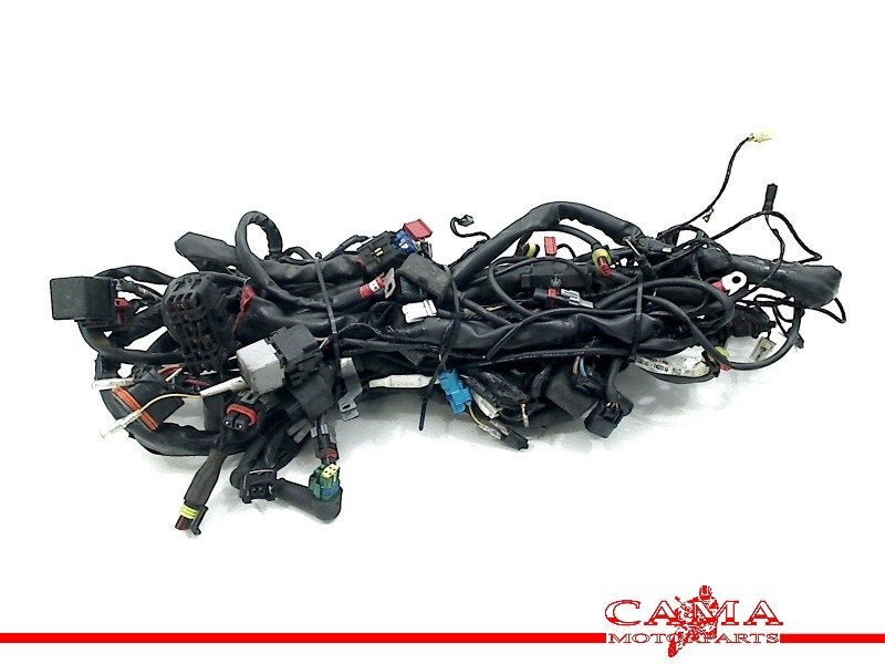 KABELBOOM Gilera Fuoco 500 2013-2015 (1d000159-00), Motoren, Dhr. S. di Majo, Gebruikt, Info@cama-motorparts.nl, P.J. Troelstraweg 8 8
3144 CX  MAASSLUIS, NL