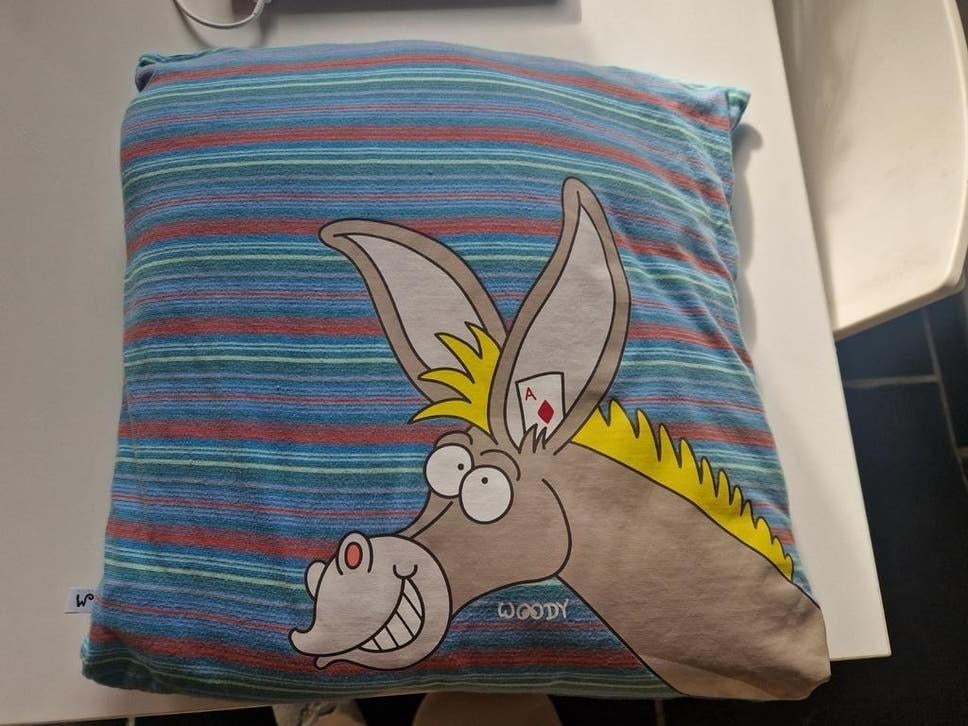 Sierkussentje Woody, Ophalen, Zo goed als nieuw, Kussen, Jongetje of Meisje