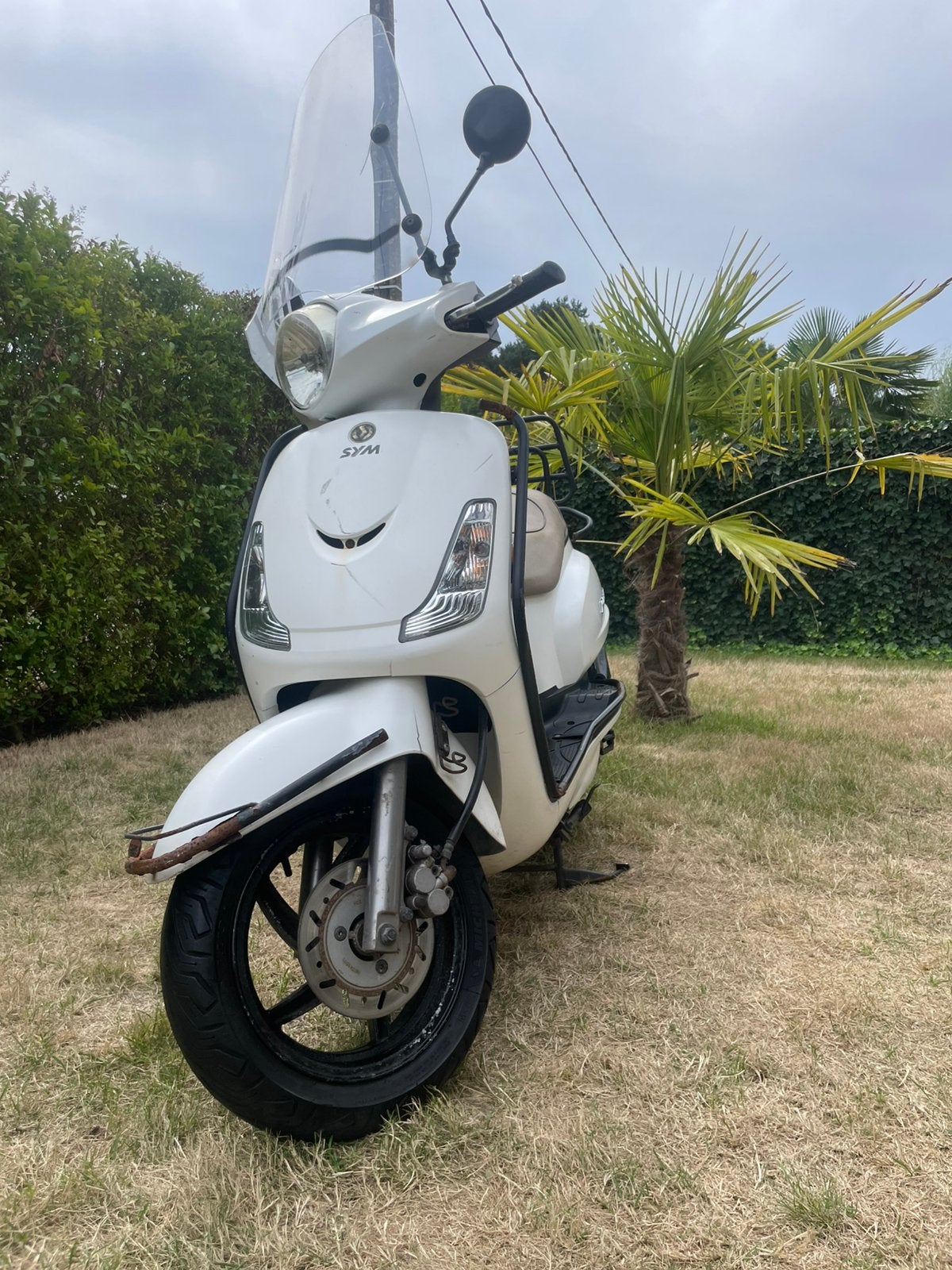 Sym A klasse, Ophalen, Klasse A (25 km/u), Benzine, Fiddle