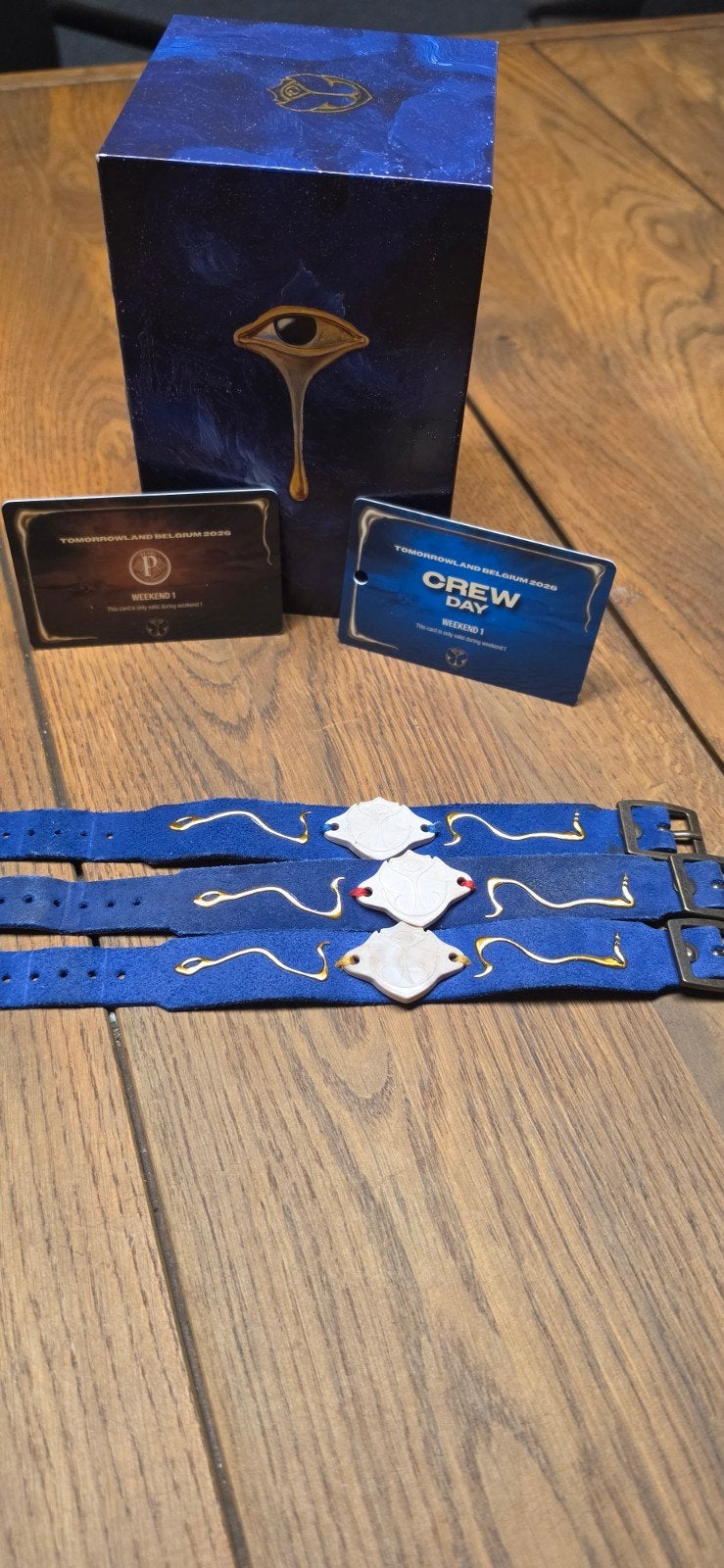 Tomorrowland 2026 Lot, Collections, Enlèvement ou Envoi, Comme neuf