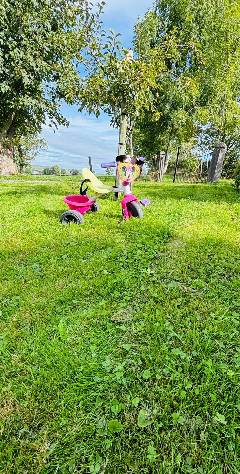 Vélo Minnie, Enlèvement, Comme neuf