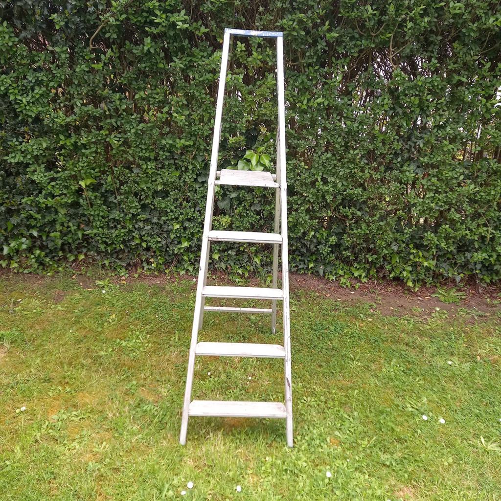Échelle escabeau 5 marche en aluminium massif, Bricolage & Construction, Échelle