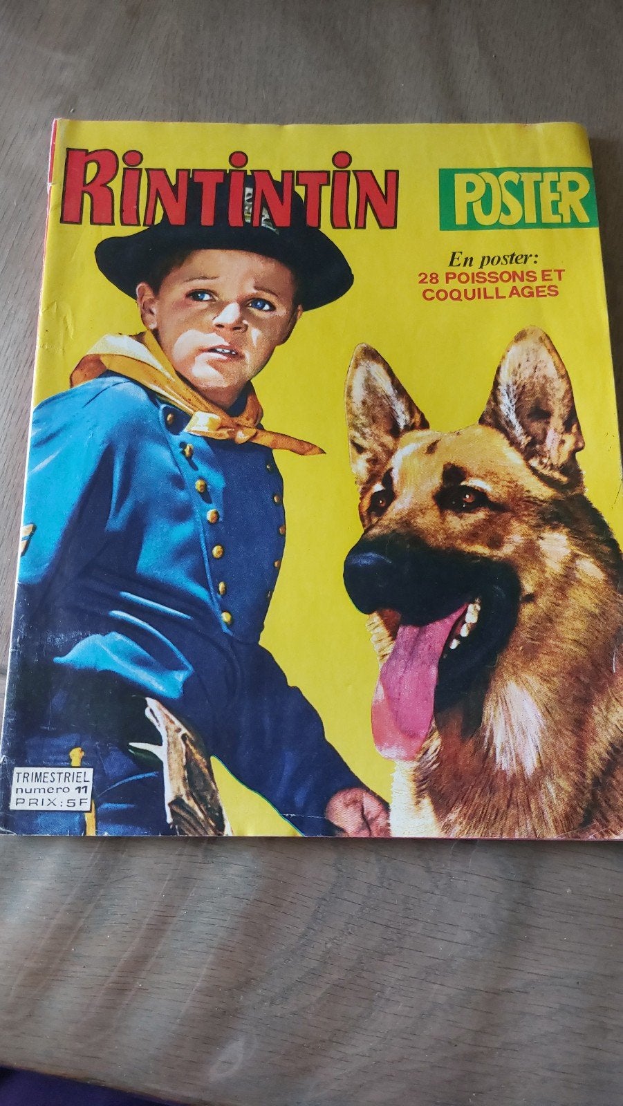 Rintintin Rintintin Poster numéro 11 1980