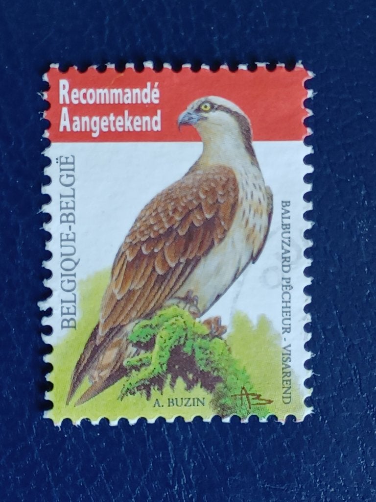 Postzegels Belgie, Postzegels en Munten, Postzegels | Europa | België, Ophalen of Verzenden, Gestempeld