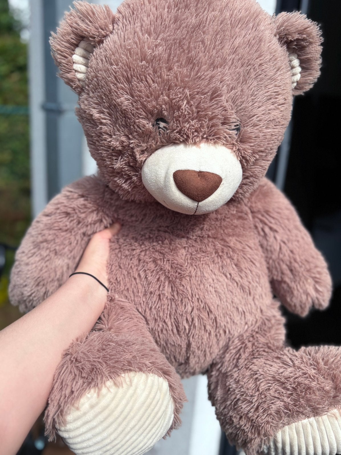 beer, Collections, Ours & Peluches, Enlèvement, Comme neuf