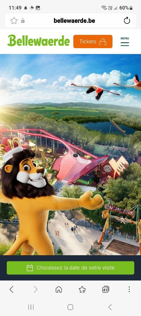 4 tickets pour le parc Bellewaerde., Tickets en Kaartjes