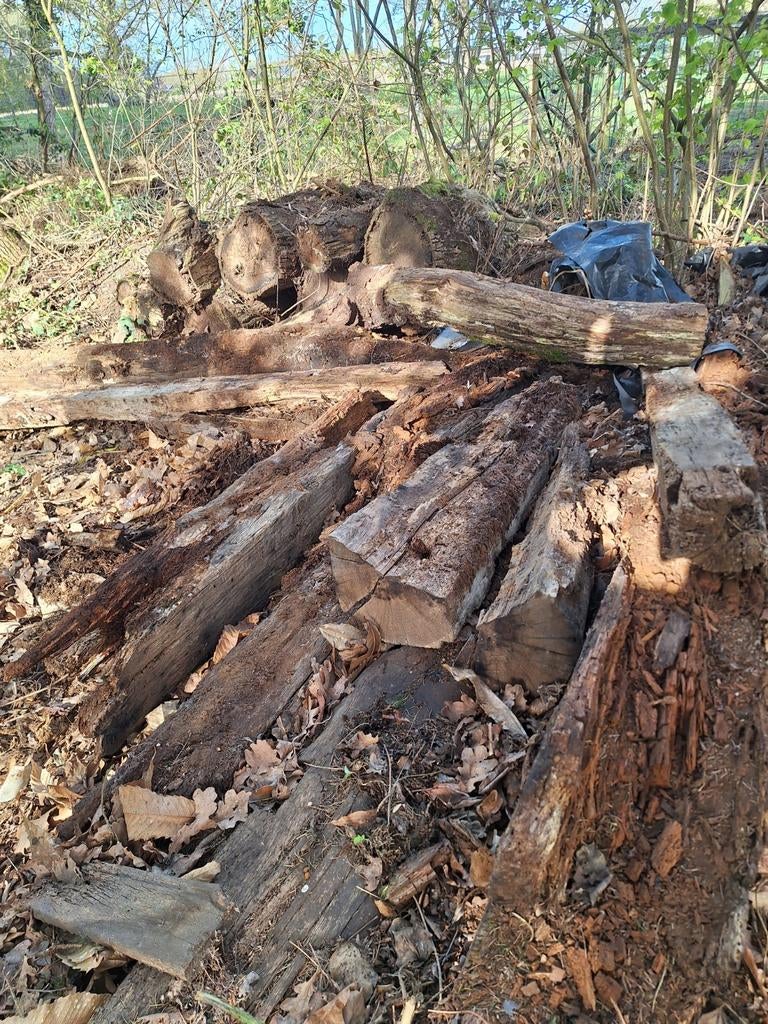 eik brandhout, Tuin en Terras, Brandhout, 3 tot 6 m³, Ophalen, Eikenhout, Blokken