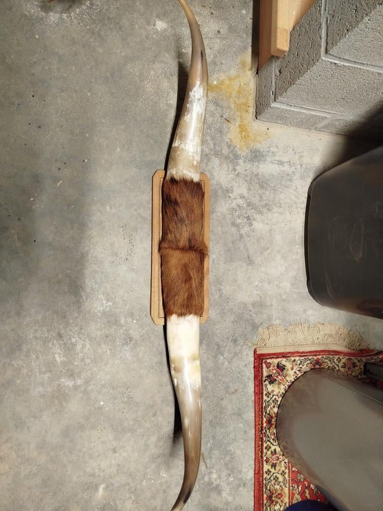 Longhorn op houten plank, Ophalen