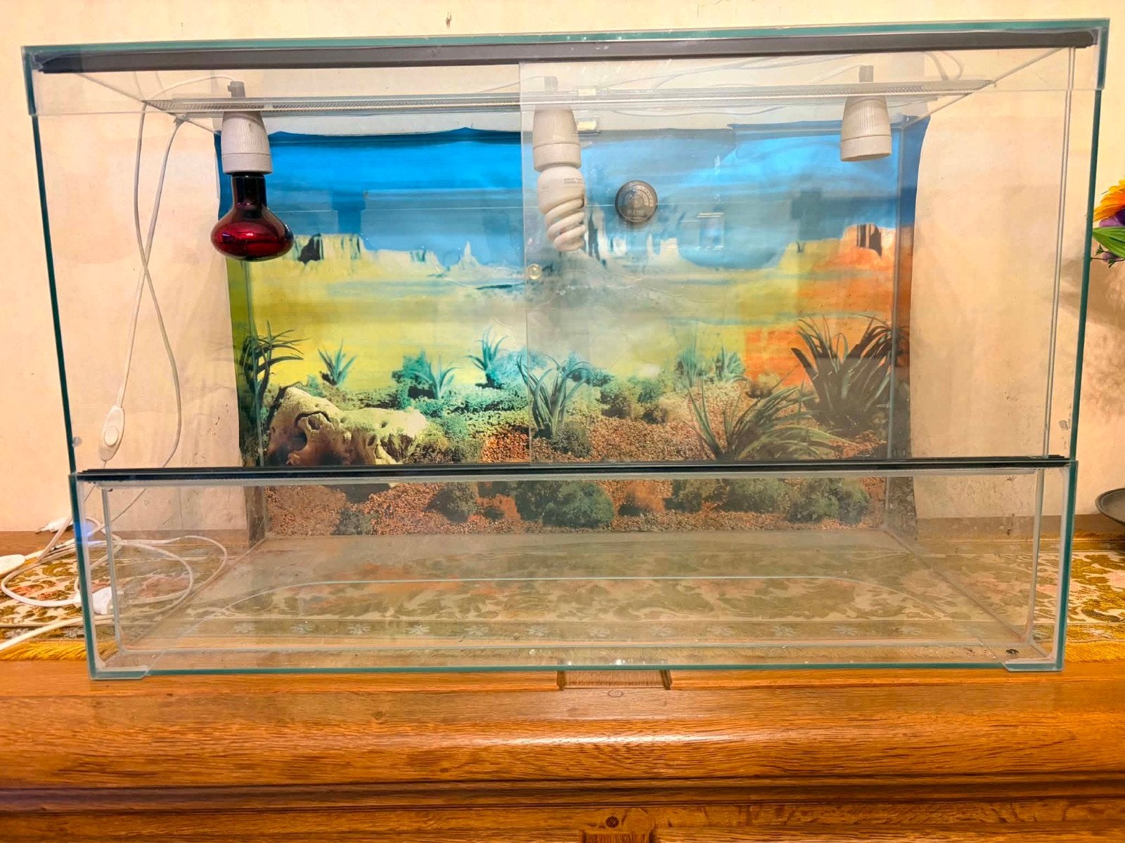 Terrarium avec lampes dimensions 80x40x50, Enlèvement