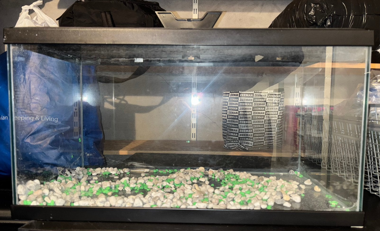aquarium, Ophalen, Overige merken, Zo goed als nieuw, Inclusief deksel